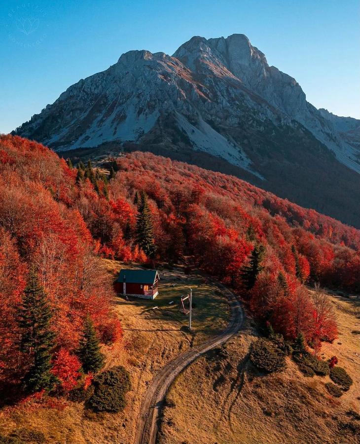 Mountain House Komovi-Radunovic Andrijevica المظهر الخارجي الصورة