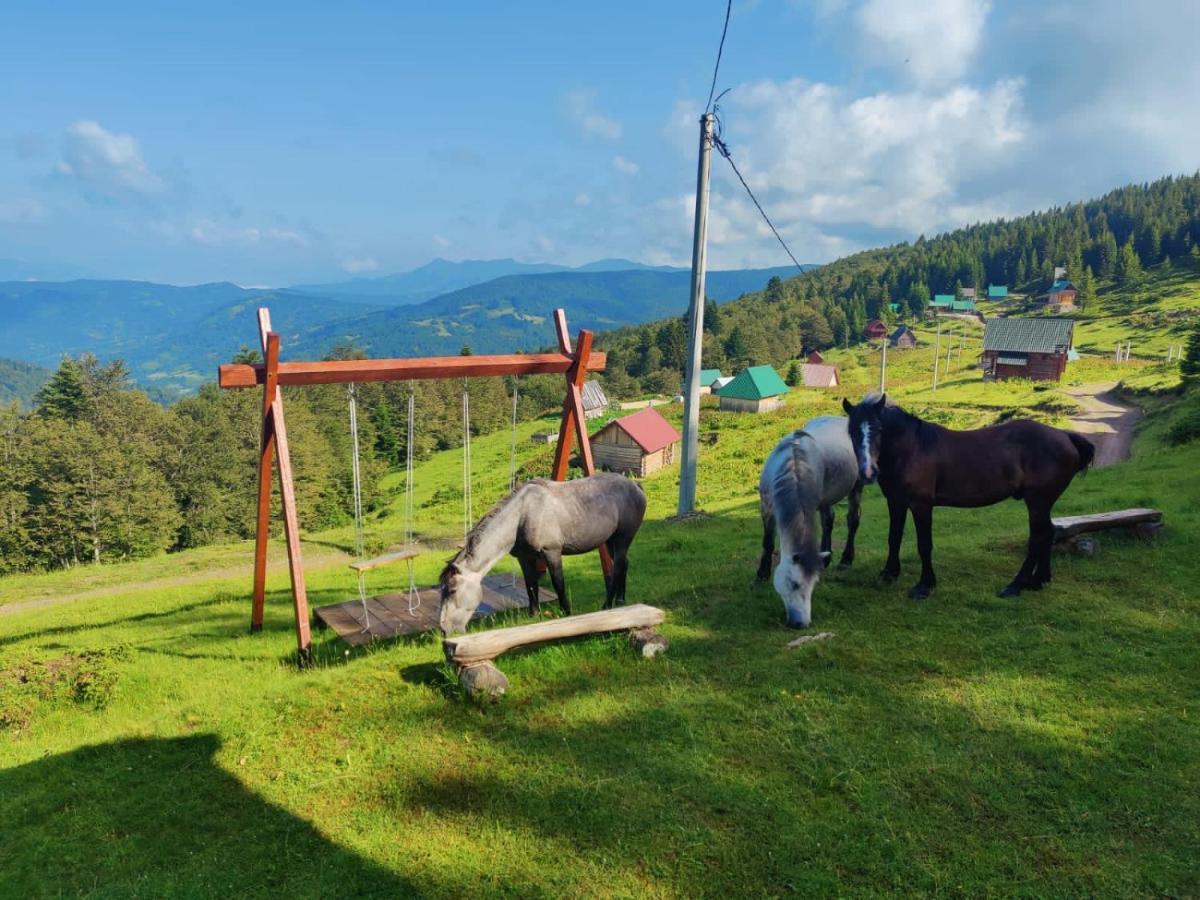 Mountain House Komovi-Radunovic Andrijevica المظهر الخارجي الصورة